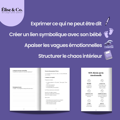 Journal de Deuil : Mon Petit Ange